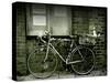 12 Days of Christmas Bicycle-Tim Kahane-Stretched Canvas