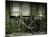 12 Days of Christmas Bicycle-Tim Kahane-Mounted Photographic Print