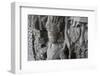 1200 Year Old Vishnu Sculpture-GvSparx-Framed Photographic Print