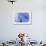 128 Balloon Girl-Banksy-Framed Premium Giclee Print displayed on a wall