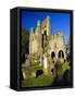 12th Century Benedictine Abbey Founded by King David in 1128, Kelso, Scottish Borders, Scotland-Pearl Bucknell-Framed Stretched Canvas