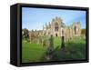 12th Century Melrose Abbey, Scotland-Pearl Bucknell-Framed Stretched Canvas