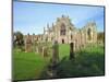12th Century Melrose Abbey, Scotland-Pearl Bucknell-Mounted Photographic Print
