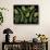 13 Lo 1 Bis 4K-Pierre Henri Matisse-Stretched Canvas displayed on a wall