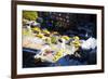 13 Taxis II - In the Style of Oil Painting-Philippe Hugonnard-Framed Giclee Print