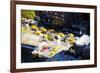 13 Taxis II - In the Style of Oil Painting-Philippe Hugonnard-Framed Giclee Print