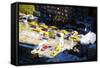 13 Taxis II - In the Style of Oil Painting-Philippe Hugonnard-Framed Stretched Canvas