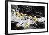 13 Taxis - In the Style of Oil Painting-Philippe Hugonnard-Framed Giclee Print