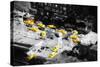 13 Taxis - In the Style of Oil Painting-Philippe Hugonnard-Stretched Canvas