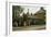 135 to 139 Oval Road: Croydon's Smallest Houses, 1921-Evacustes Arthur Phipson-Framed Giclee Print
