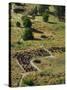 13th Century Tyuonyi Pueblo Ruins-Pat Vasquez-cunningham-Stretched Canvas