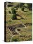 13th Century Tyuonyi Pueblo Ruins-Pat Vasquez-cunningham-Stretched Canvas