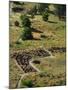 13th Century Tyuonyi Pueblo Ruins-Pat Vasquez-cunningham-Mounted Photographic Print