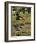 13th Century Tyuonyi Pueblo Ruins-Pat Vasquez-cunningham-Framed Photographic Print