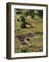 13th Century Tyuonyi Pueblo Ruins-Pat Vasquez-cunningham-Framed Photographic Print