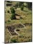 13th Century Tyuonyi Pueblo Ruins-Pat Vasquez-cunningham-Mounted Photographic Print