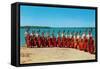 14 Double Bass Players at the Beach, Retro-null-Framed Stretched Canvas