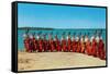 14 Double Bass Players at the Beach, Retro-null-Framed Stretched Canvas