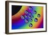 14 Pinballs-Heidi Westum-Framed Photographic Print