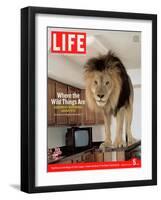 14-year-old Sinbad the Lion Standing on Counter in Owner's Las Vegas Kitchen, August 5, 2005-Marc Joseph-Framed Photographic Print