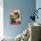 14-year-old Sinbad the Lion Standing on Counter in Owner's Las Vegas Kitchen, August 5, 2005-Marc Joseph-Photographic Print displayed on a wall