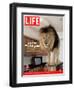 14-year-old Sinbad the Lion Standing on Counter in Owner's Las Vegas Kitchen, August 5, 2005-Marc Joseph-Framed Photographic Print