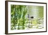 140-Incredi-Framed Giclee Print