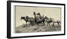 1421 Mustangs Of The Badlands B&W-Gordon Semmens-Framed Photographic Print