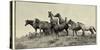 1421 Mustangs Of The Badlands B&W-Gordon Semmens-Stretched Canvas