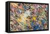 1486-Mark Lovejoy-Framed Stretched Canvas