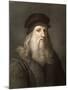 1490 Leonardo Da Vinci Colour Portrait-Paul Stewart-Mounted Photographic Print