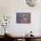 14COF-Pierre Henri Matisse-Giclee Print displayed on a wall