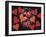 14G-Pierre Henri Matisse-Framed Giclee Print