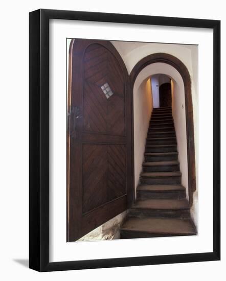 14th Century Bran Castle Detail, Brasov Region, Romania-Gavriel Jecan-Framed Photographic Print