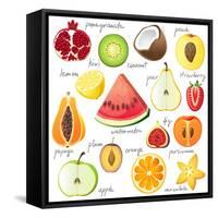 15 Bright Fruit Pieces-mart_m-Framed Stretched Canvas