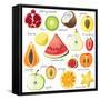 15 Bright Fruit Pieces-mart_m-Framed Stretched Canvas