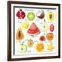 15 Bright Fruit Pieces-mart_m-Framed Art Print