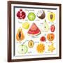 15 Bright Fruit Pieces-mart_m-Framed Art Print