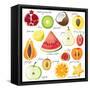 15 Bright Fruit Pieces-mart_m-Framed Stretched Canvas