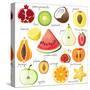 15 Bright Fruit Pieces-mart_m-Stretched Canvas