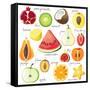 15 Bright Fruit Pieces-mart_m-Framed Stretched Canvas