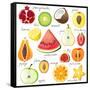 15 Bright Fruit Pieces-mart_m-Framed Stretched Canvas