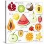 15 Bright Fruit Pieces-mart_m-Stretched Canvas