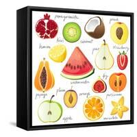 15 Bright Fruit Pieces-mart_m-Framed Stretched Canvas