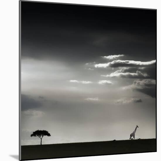 15 Minutes of Happiness-Piet Flour-Mounted Photographic Print