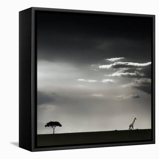 15 Minutes of Happiness-Piet Flour-Framed Stretched Canvas