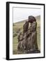 15 Moai Restored Ceremonial Site of Ahu Tongariki-Michael Nolan-Framed Photographic Print