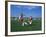 15 Year Old Girls in Action Durring Soccer Game, Lakewood, Colorado, USA-null-Framed Photographic Print