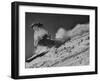 15-Year Old Skiing Prodigy Andrea Mead Lawrence Practicing for Winter Olympics-null-Framed Premium Photographic Print