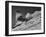 15-Year Old Skiing Prodigy Andrea Mead Lawrence Practicing for Winter Olympics-null-Framed Photographic Print